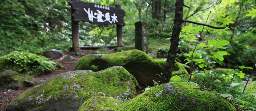 img5b5d5d_076583.jpg