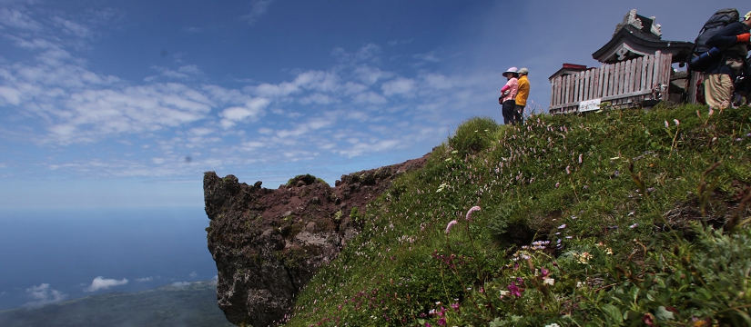 img5b5d5d_059974.jpg