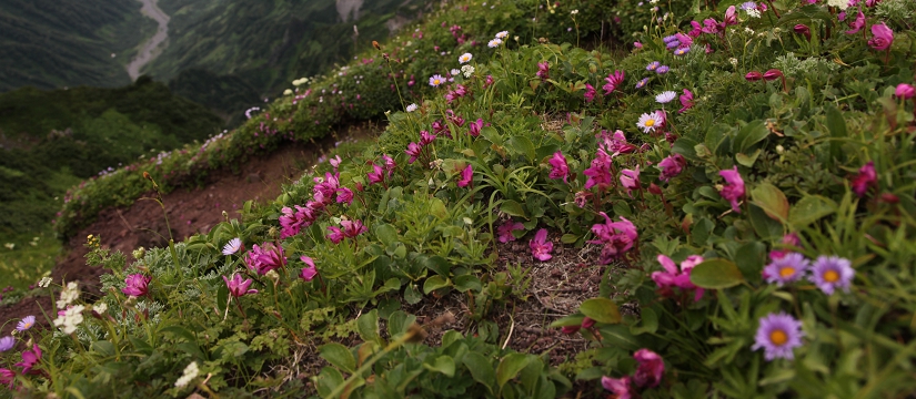img5b5d5d_017345.jpg