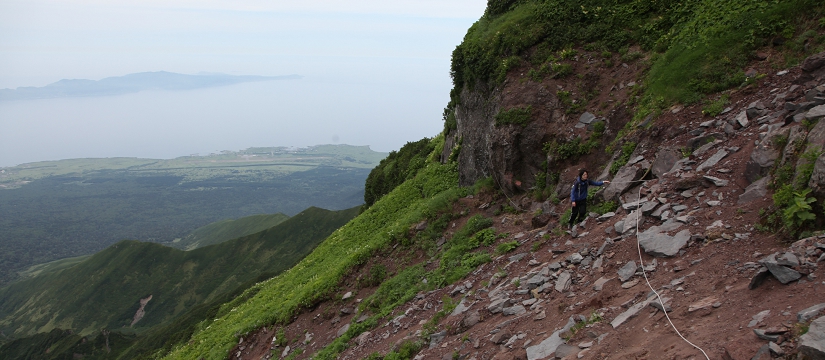 img5b5d5d_017420.jpg