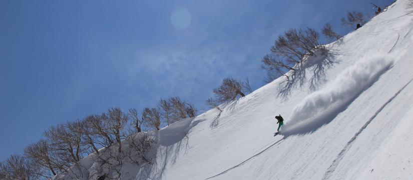 img5b5d5d_132877.jpg