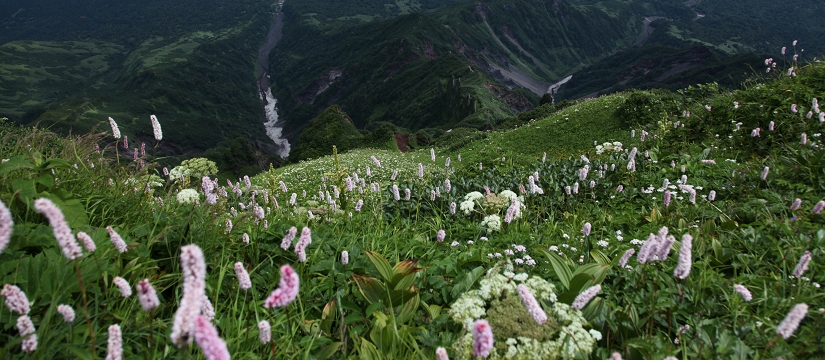 img5b5d5d_004649.jpg