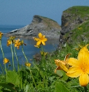 DSCF8111.JPG