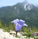 DSCF4201.JPG