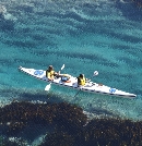 DSCF7974.jpg