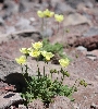 IMG_9527.JPG