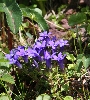 IMG_000736.JPG
