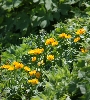IMG_011966.JPG