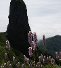 IMG_012850.JPG