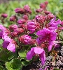 IMG_012006.JPG