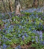 IMG_009139.JPG