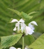 IMG_7937.JPG