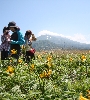 IMG_011353.JPG