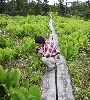 IMG_8194.JPG