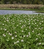 IMG_009400.JPG