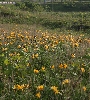 IMG_010947.JPG
