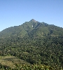 IMG_011879.JPG