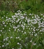 IMG_010146.JPG