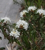 IMG_010177.JPG