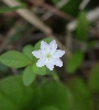 IMG_010187.JPG