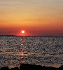 IMG_8645.JPG