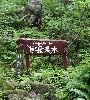 IMG_011542.JPG