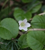 IMG_009529.JPG