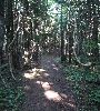 IMG_011858.JPG