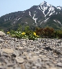 IMG_009561.JPG