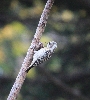 IMG_015688.JPG