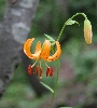 IMG_000868.JPG