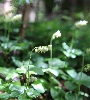 IMG_000471.JPG