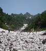IMG_011451.JPG