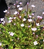 IMG_7647.JPG