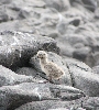 IMG_000034.JPG