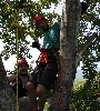 IMG_001309.JPG