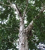 DSCF6060.JPG