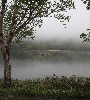 IMG_009353.JPG