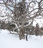 IMG_007938.JPG