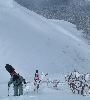 DSCF4413.JPG