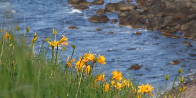 DSCF6345.JPG