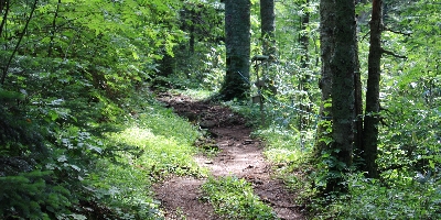 IMG_000460.JPG