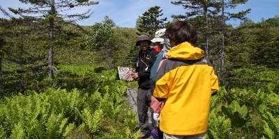 IMG_8722.JPG