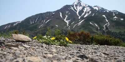 IMG_009561.JPG
