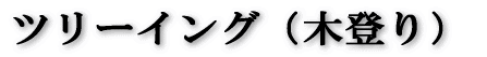 �g���b�L���O�c�A�[