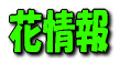 利尻島リアルタイム情報